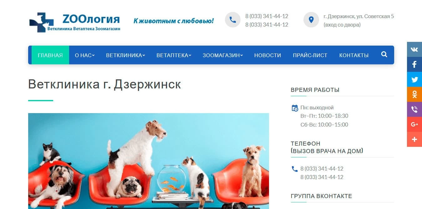 Создание сайта для ветклиники ZooЛогия